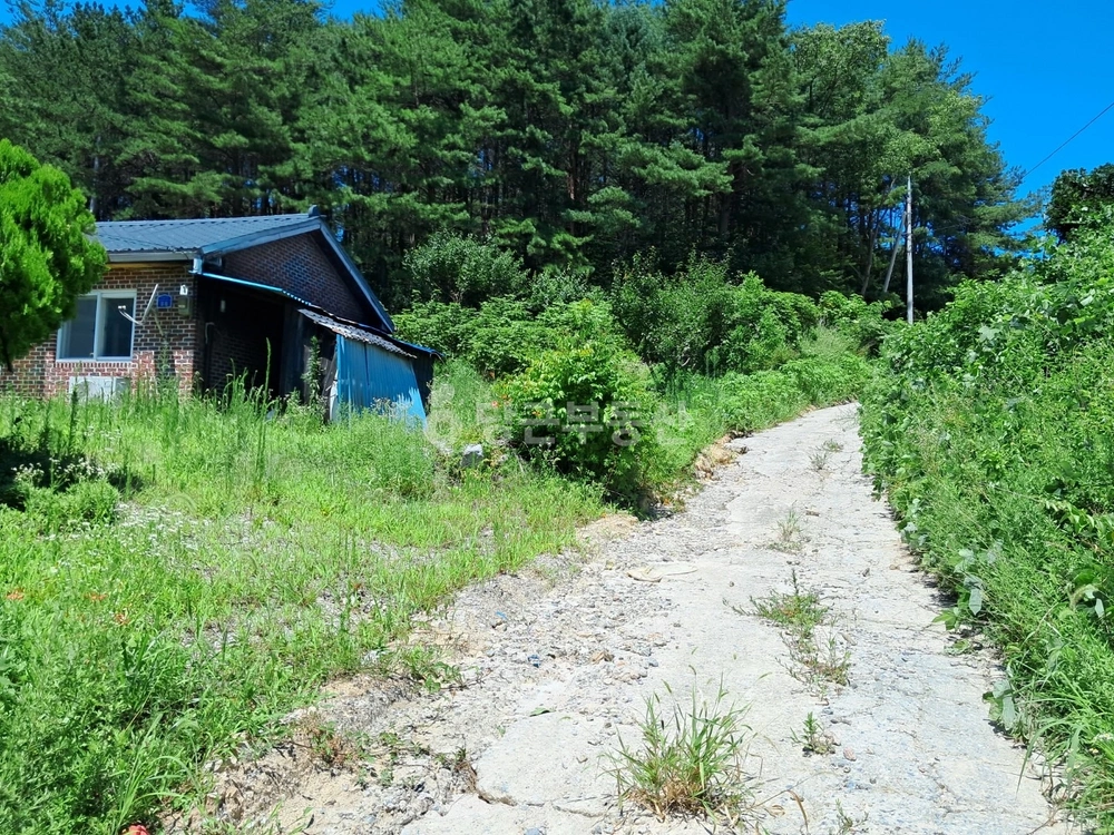 강원특별자치도 강릉시 주문진읍 단독/전원주택 사진 1