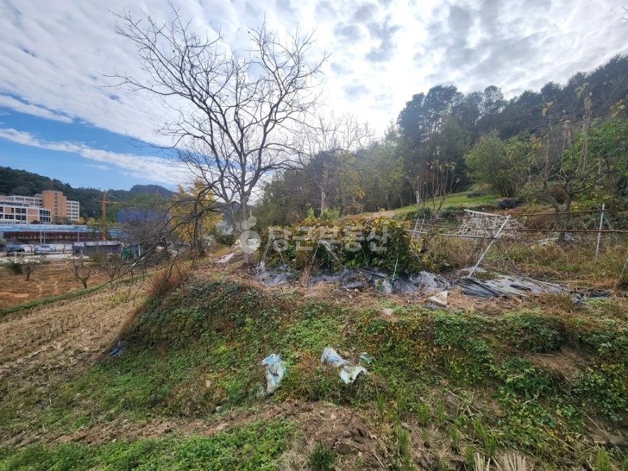 전남광주통합특별시 화순군 화순읍 토지 사진 1