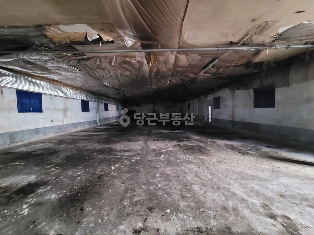 대구광역시 달성군 옥포읍 공장/창고 사진 1