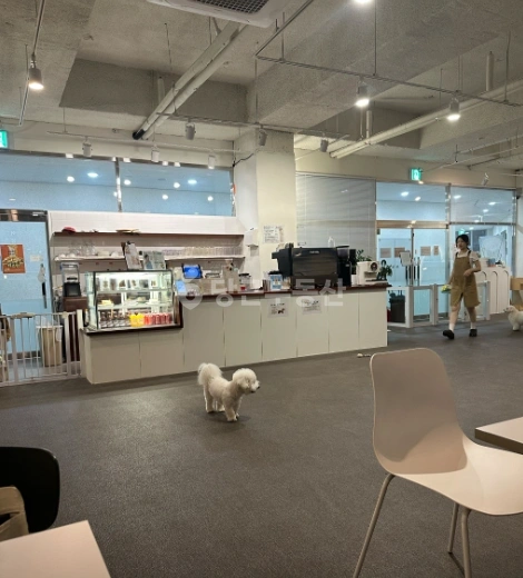 경기도 파주시 다율동 상가 사진 1