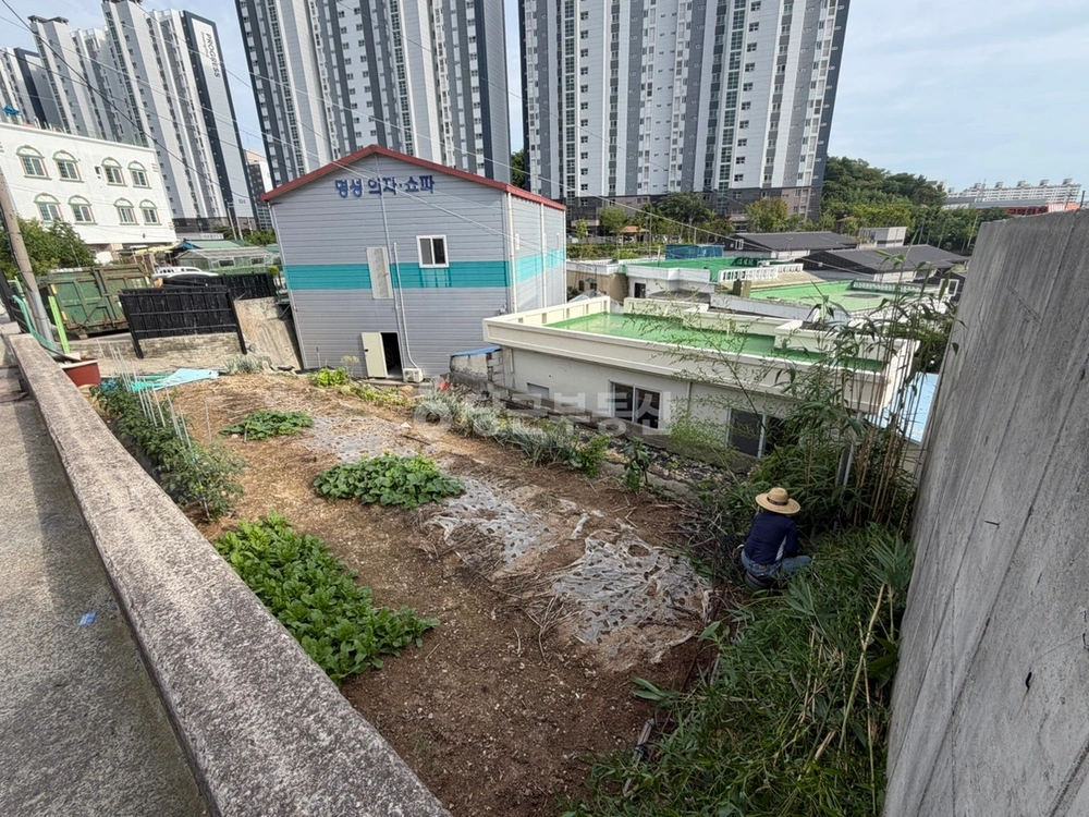 전남광주통합특별시 목포시 용해동 토지 사진 1