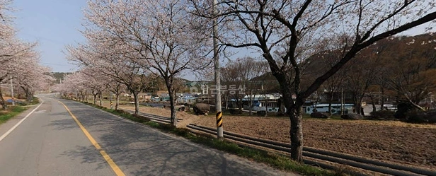 전남광주통합특별시 화순군 사평면 토지 사진 1