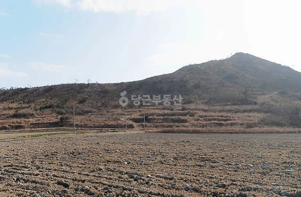 전남광주통합특별시 신안군 도초면 토지 사진 1