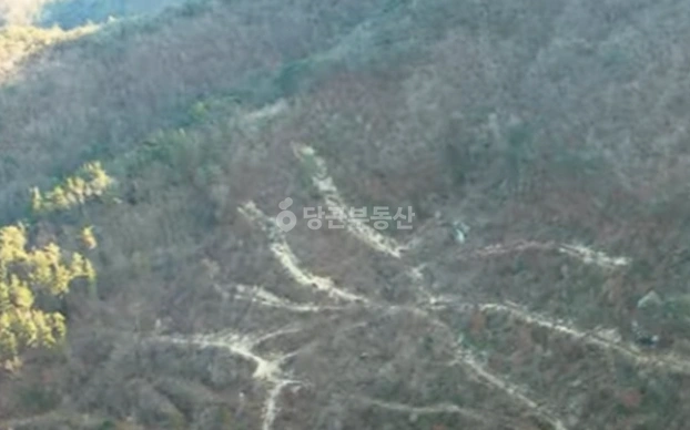 전남광주통합특별시 장흥군 유치면 토지 사진 1