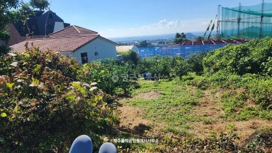 제주특별자치도 서귀포시 토평동 토지 사진 1