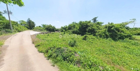 제주특별자치도 서귀포시 안덕면 토지 사진 1