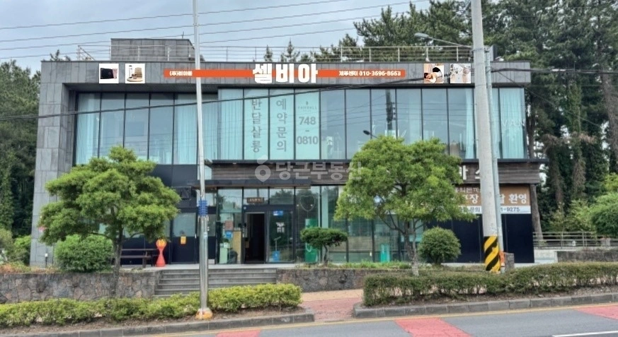제주특별자치도 제주시 노형동 상가 사진 1