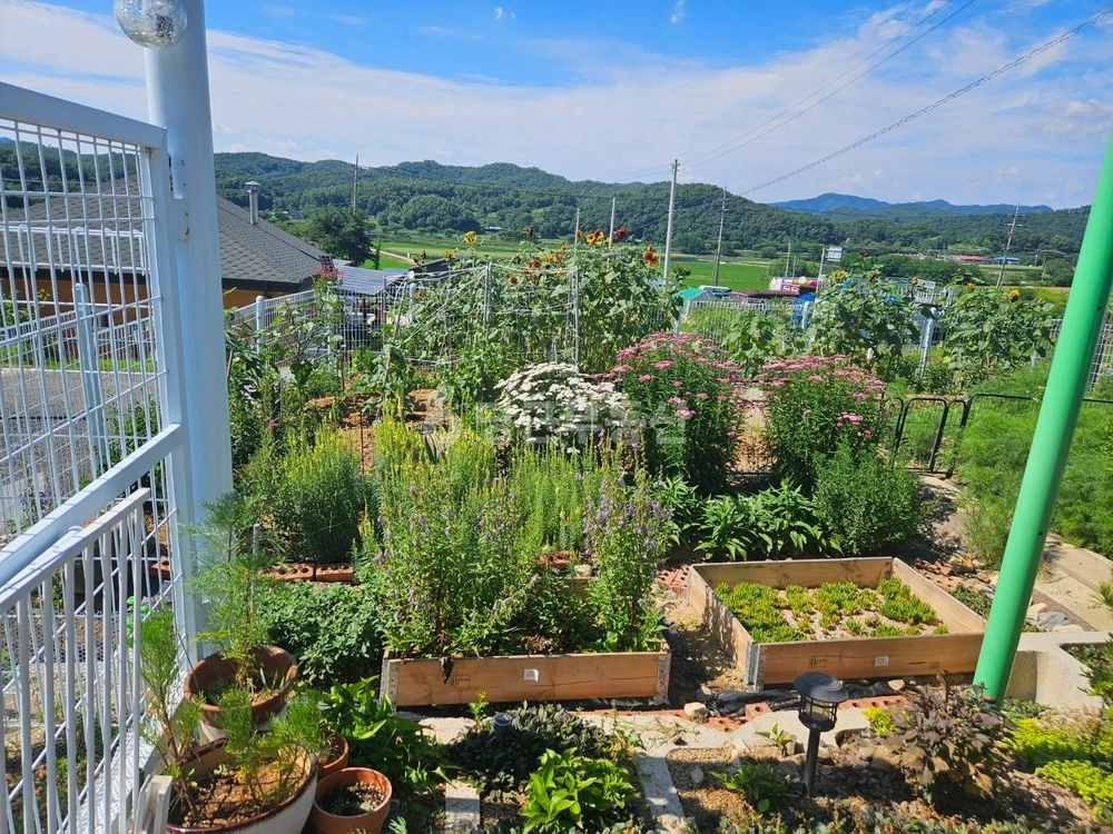 충청북도 괴산군 감물면 토지 사진 1