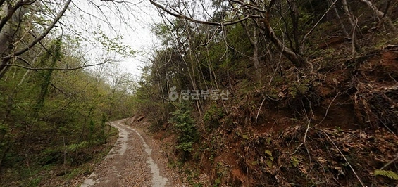 전남광주통합특별시 광양시 옥곡면 토지 사진 1