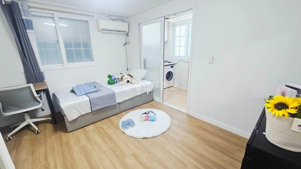 부산광역시 영도구 동삼동 원룸 사진 1