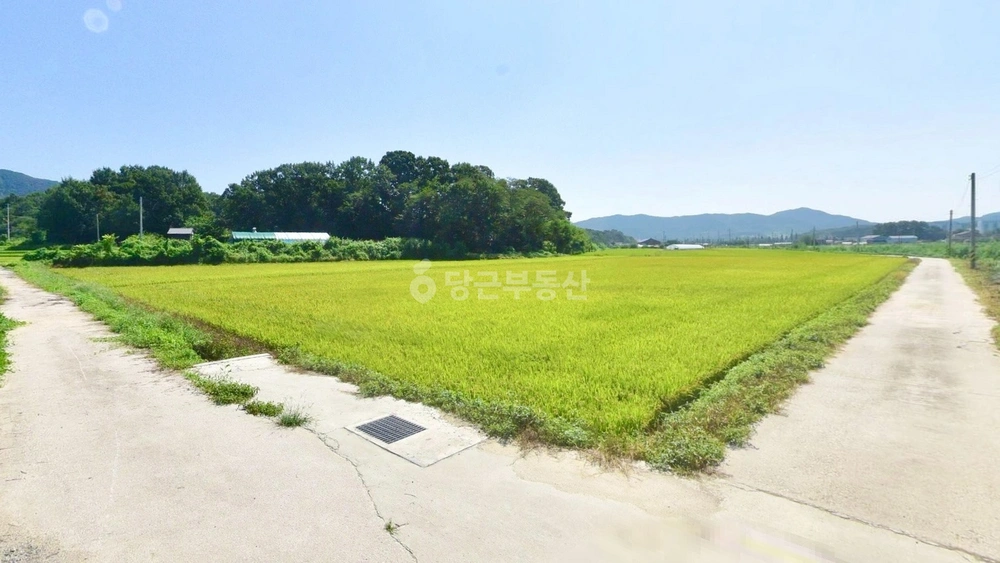 경기도 안성시 삼죽면 토지 사진 1