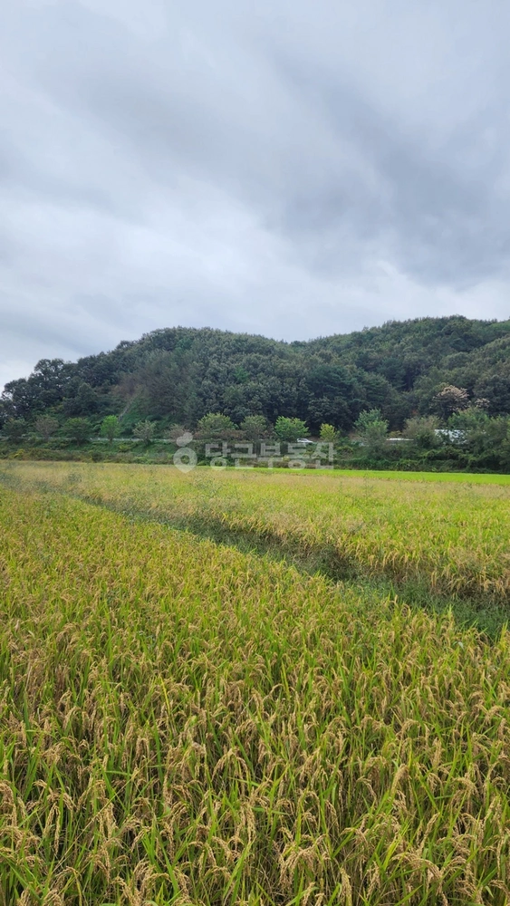 충청남도 천안시 동남구 풍세면 토지 사진 1
