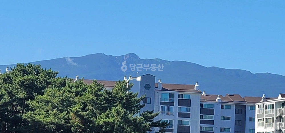 제주특별자치도 제주시 도남동 아파트 사진 1