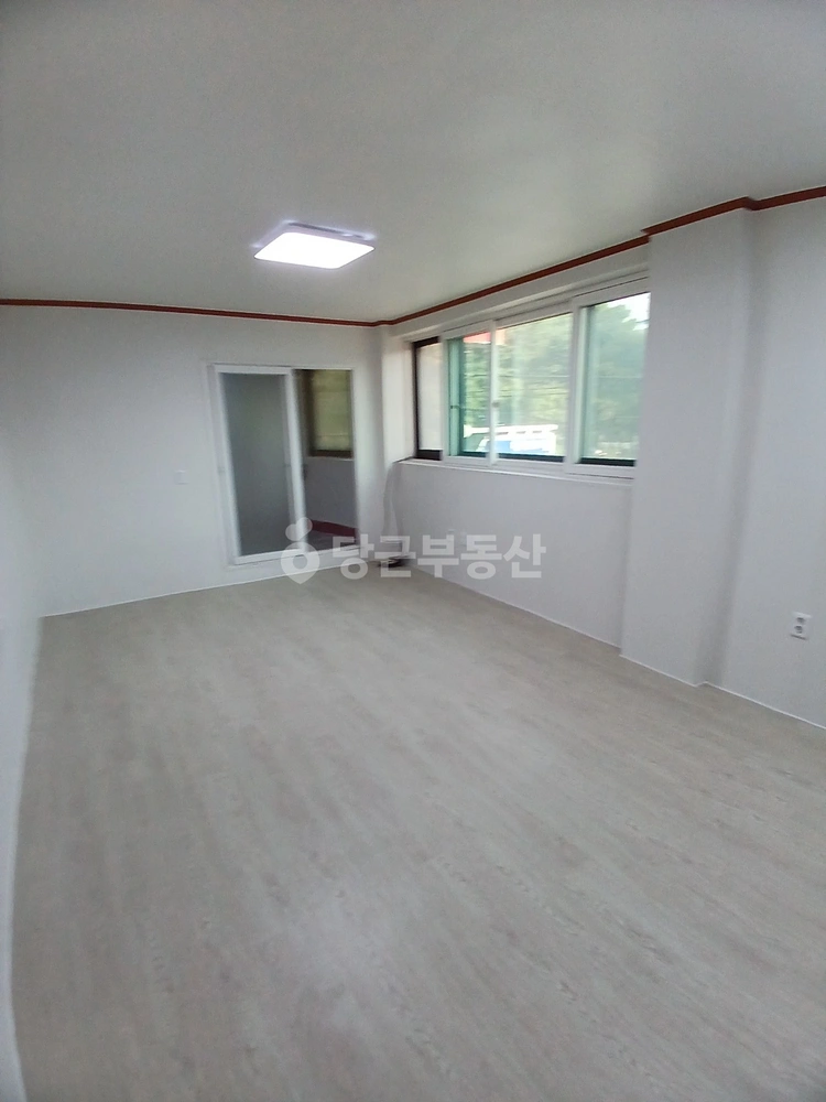 경기도 안산시 상록구 일동 원룸 사진 1