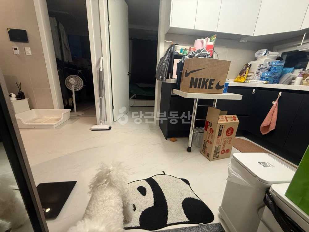 서울특별시 금천구 시흥동 빌라(투룸 이상) 사진 1