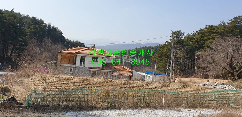 강원특별자치도 강릉시 유천동 토지 사진 1