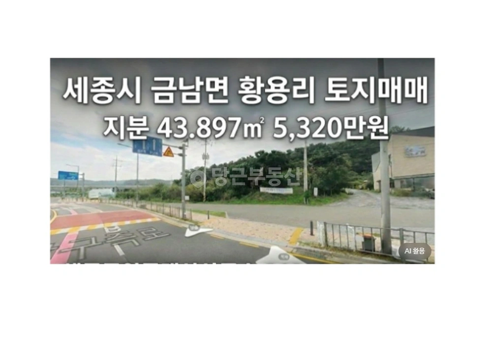 세종특별자치시 금남면 토지 사진 1