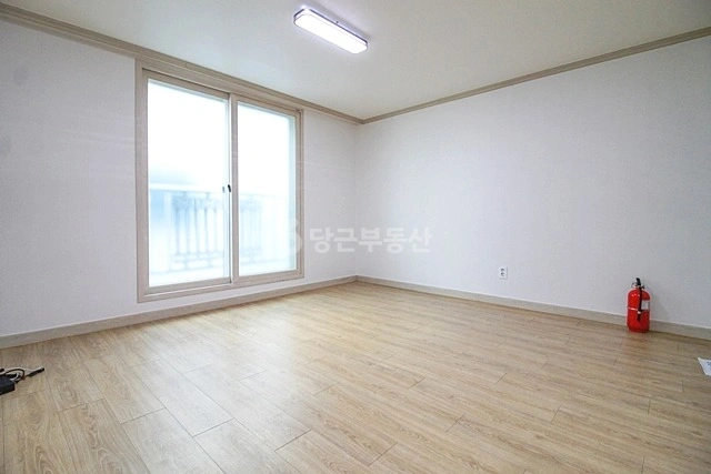 대전광역시 중구 용두동 원룸 사진 1