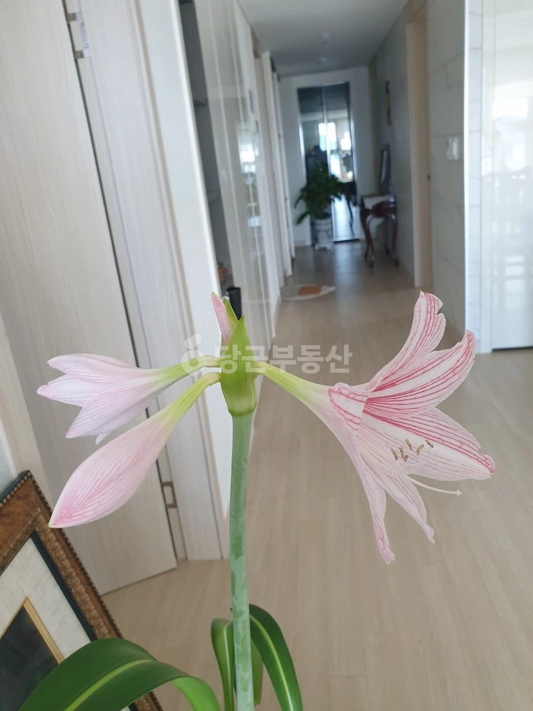 부산광역시 동래구 온천동 아파트 사진 1