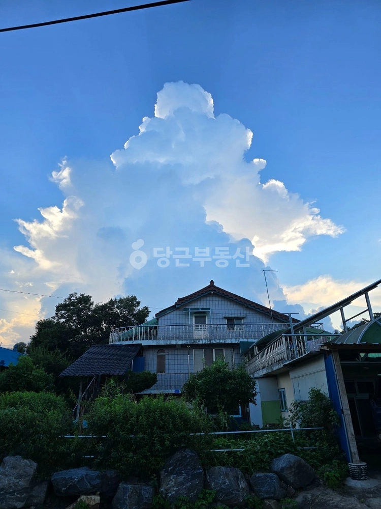 충청남도 홍성군 홍동면 단독/전원주택 사진 1