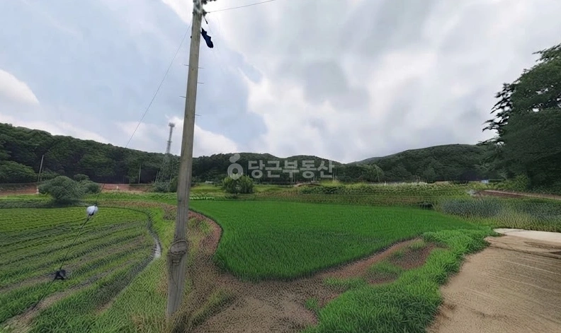 충청북도 청주시 상당구 산성동 토지 사진 1