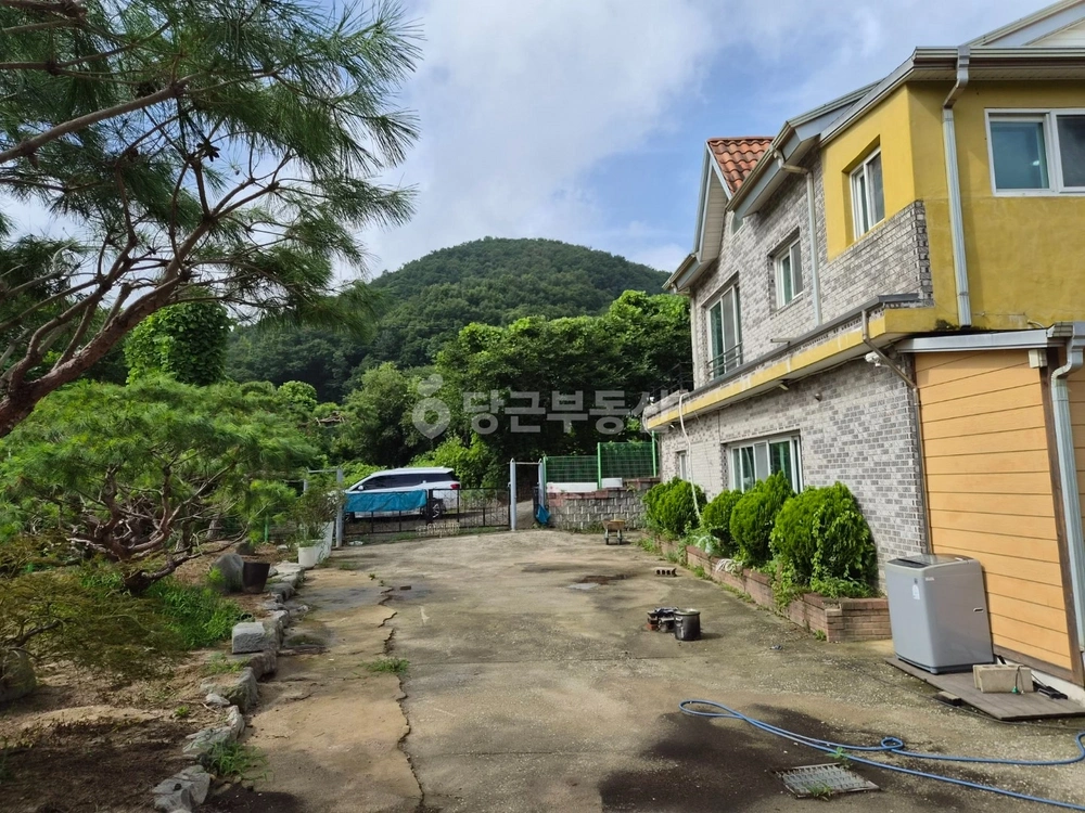경기도 용인시 처인구 양지읍 단독/전원주택 사진 1