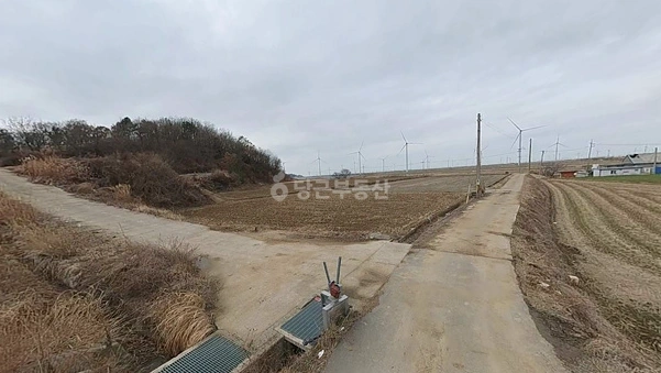 전남광주통합특별시 영광군 염산면 토지 사진 1