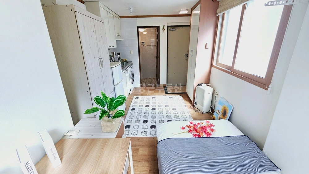 부산광역시 영도구 동삼동 원룸 사진 1