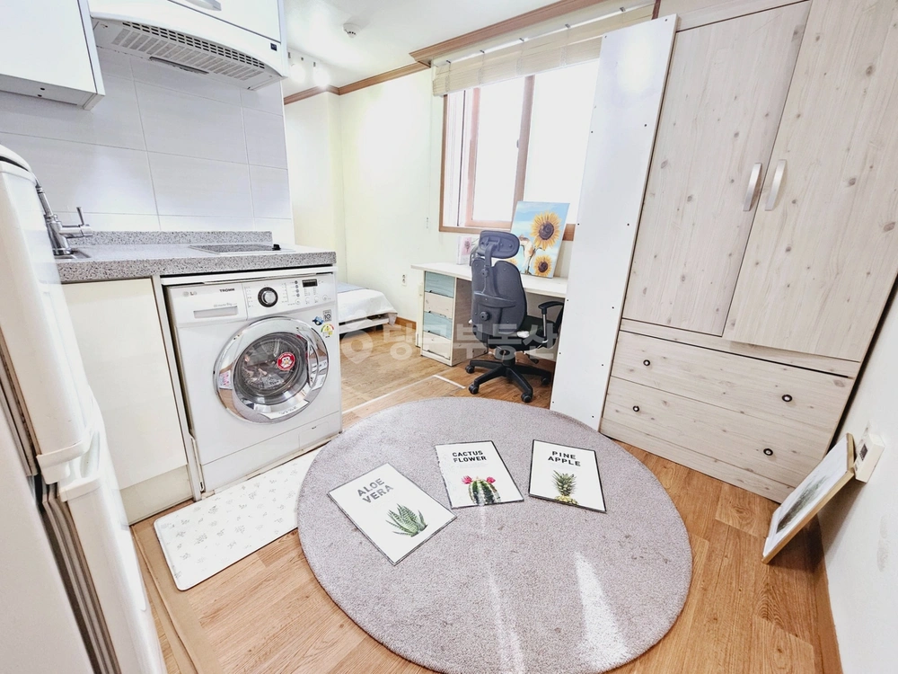 부산광역시 영도구 동삼동 원룸 사진 1