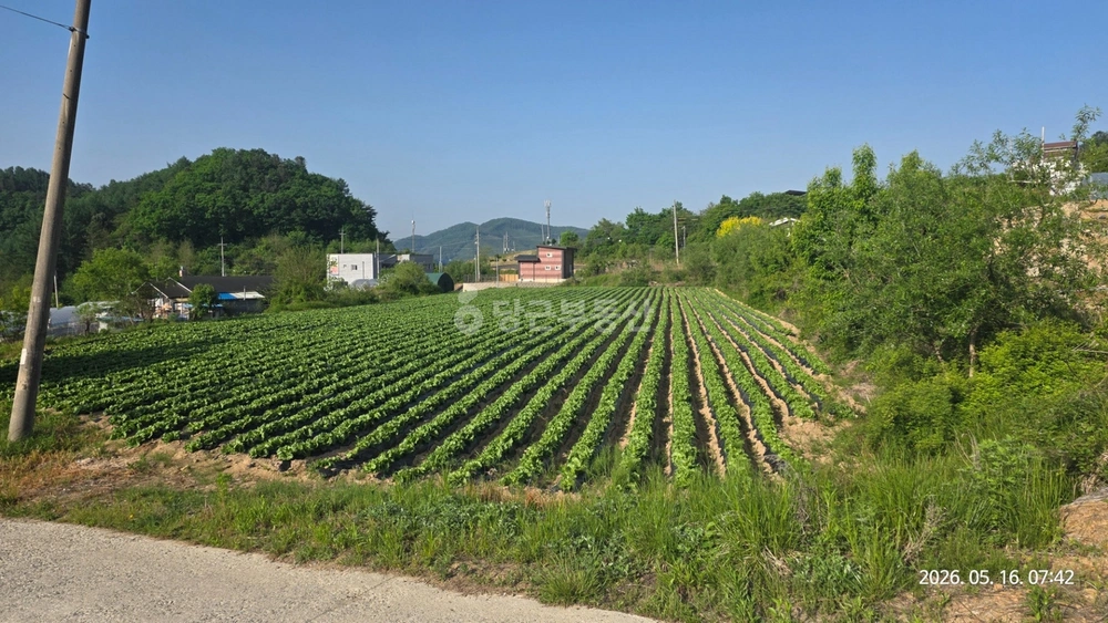 강원특별자치도 횡성군 둔내면 토지 사진 1
