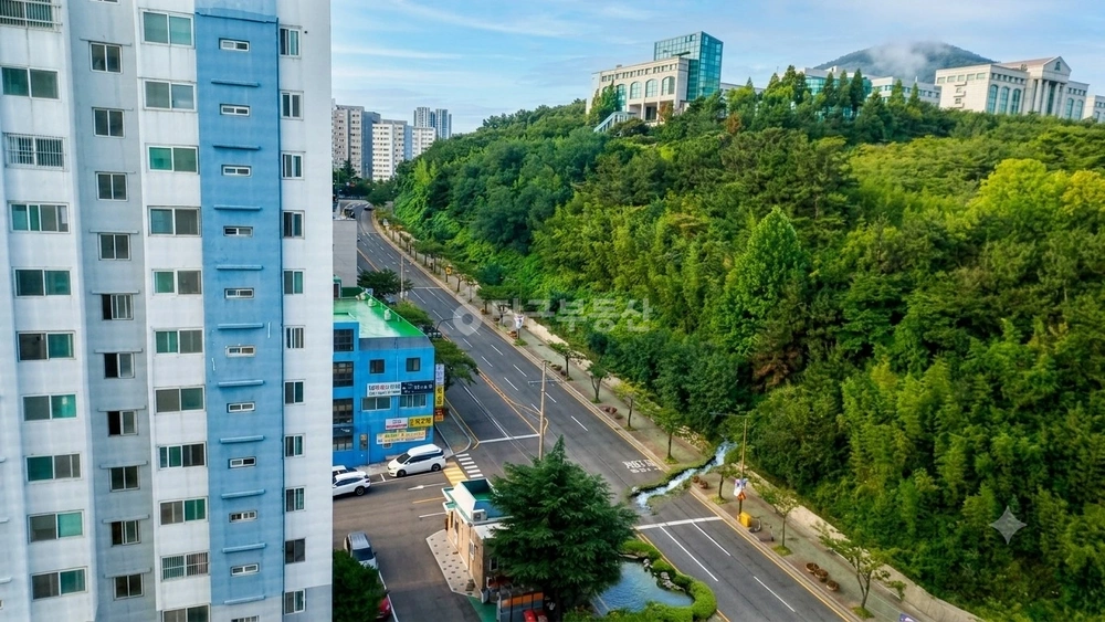 울산광역시 동구 화정동 아파트 사진 1
