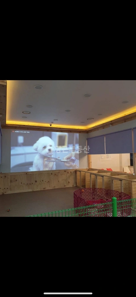 전남광주통합특별시 영광군 영광읍 상가 사진 1
