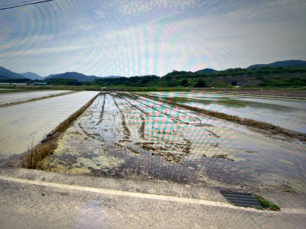 대구광역시 달성군 구지면 토지 사진 1