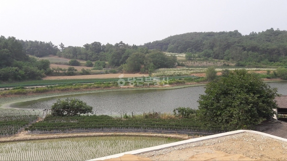 경상남도 창녕군 대합면 토지 사진 1