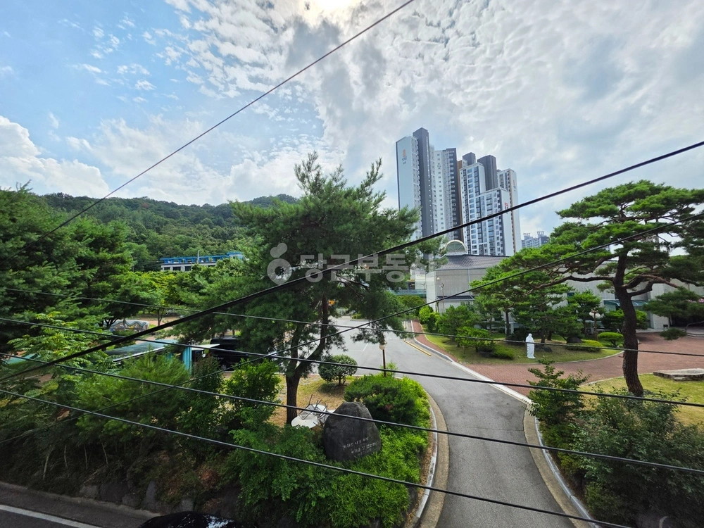 경상북도 칠곡군 석적읍 빌라(투룸 이상) 사진 1