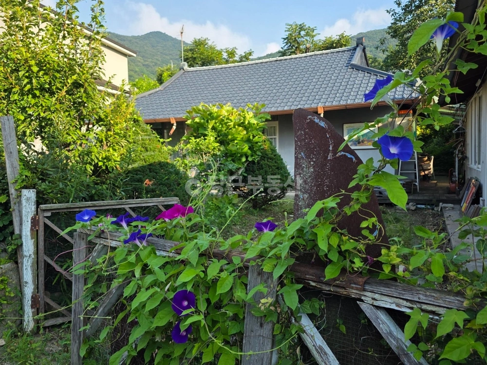 충청남도 공주시 반포면 단독/전원주택 사진 1