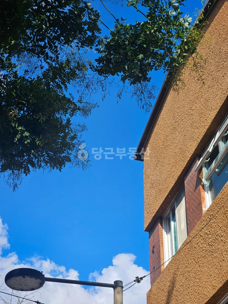 전북특별자치도 전주시 완산구 중앙동2가 상가 사진 1