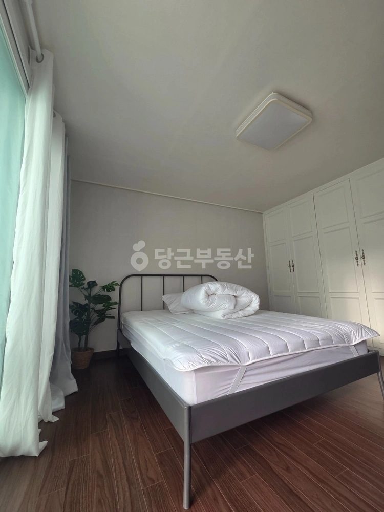 제주특별자치도 제주시 연동 빌라(투룸 이상) 사진 1