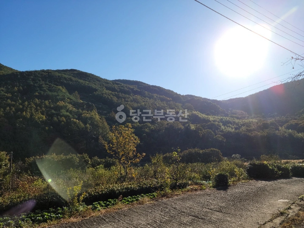 경상남도 하동군 옥종면 단독/전원주택 사진 1