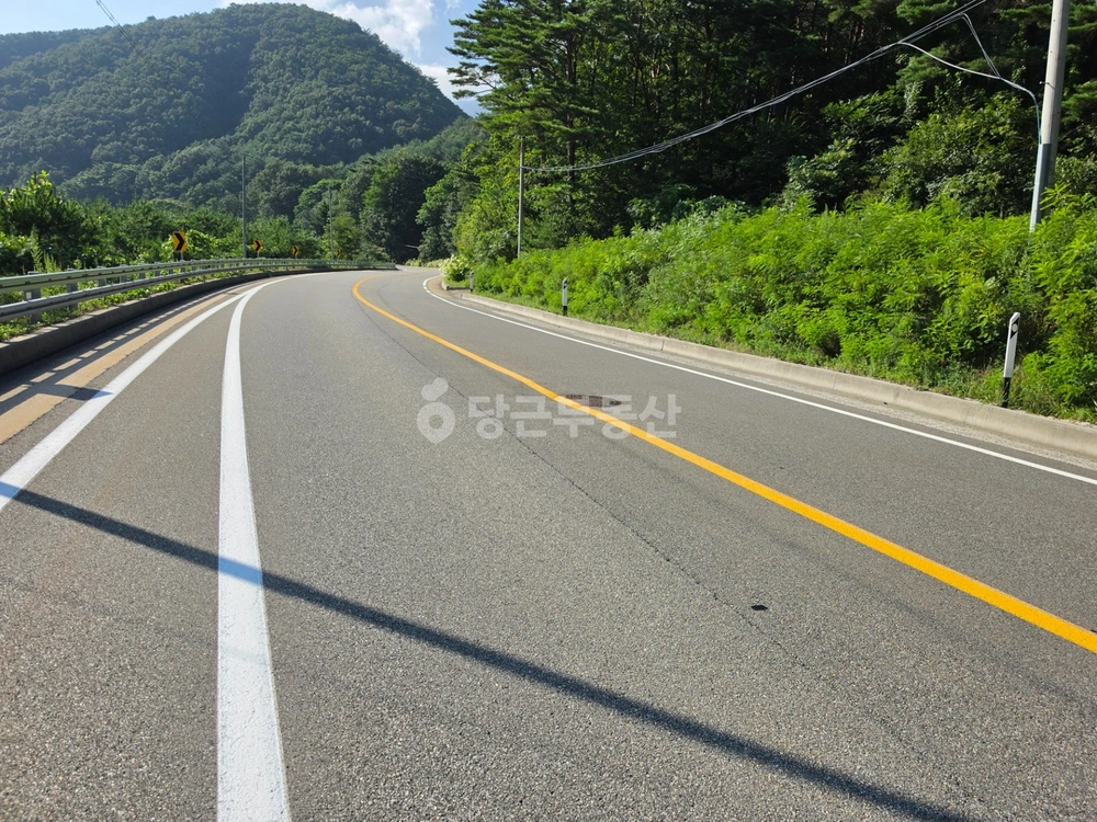 강원특별자치도 양양군 서면 토지 사진 1