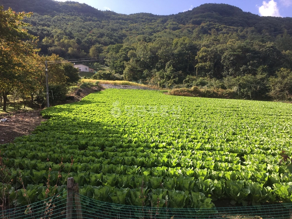 충청북도 괴산군 장연면 토지 사진 1