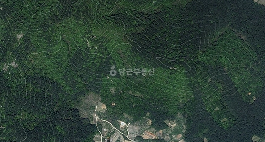 전남광주통합특별시 영광군 백수읍 토지 사진 1