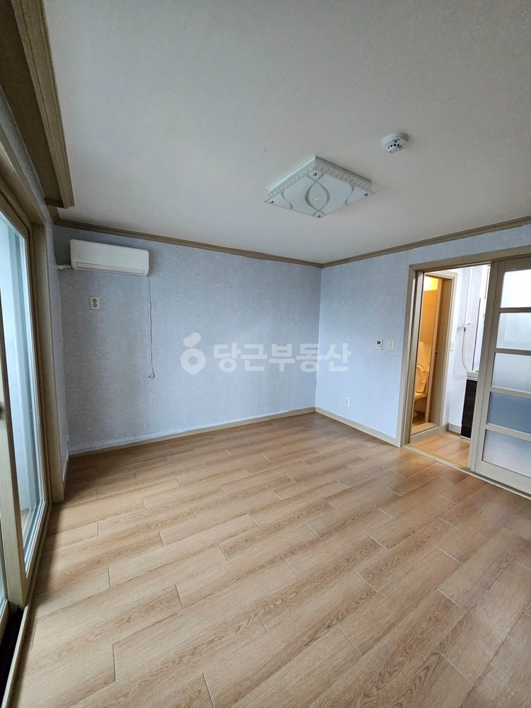 강원특별자치도 강릉시 임당동 원룸 사진 1
