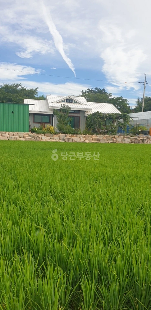 전남광주통합특별시 장흥군 부산면 단독/전원주택 사진 1