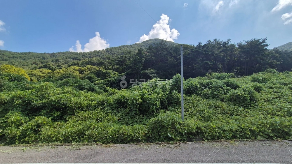 전북특별자치도 순창군 구림면 토지 사진 1