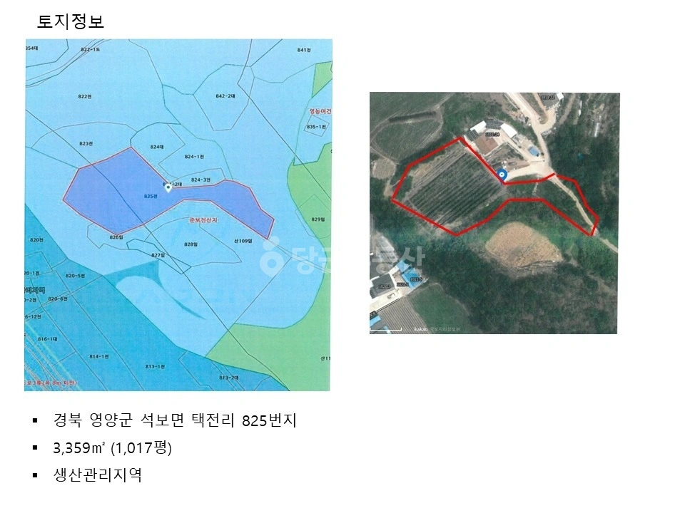 경상북도 영양군 석보면 토지 사진 1