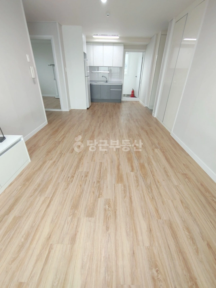 제주특별자치도 서귀포시 월평동 빌라(투룸 이상) 사진 1
