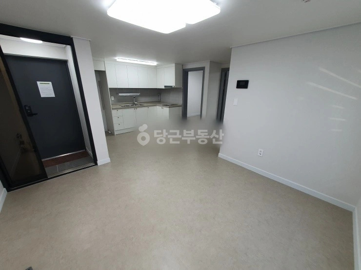 대전광역시 서구 괴정동 빌라(투룸 이상) 사진 1