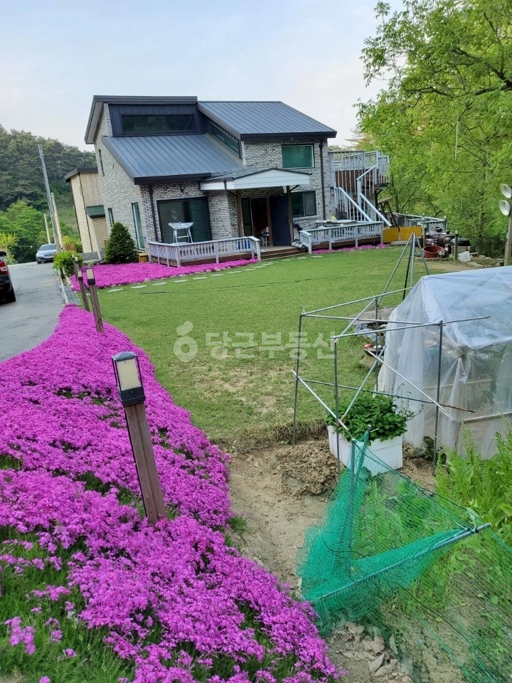 충청남도 아산시 송악면 단독/전원주택 사진 1