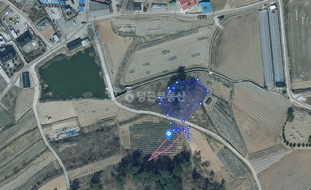 전남광주통합특별시 함평군 함평읍 토지 사진 1